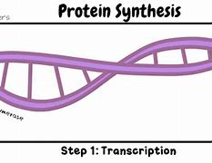 Image result for DNA Meme Chemistry