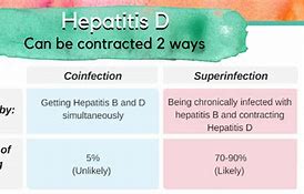 Image result for Hepatitis B Markers