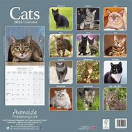 Image result for Cat Calendar 2023