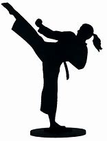 Image result for Karate Poses Figurines