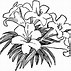 Image result for Clip Art PNG Black and White