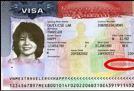Image result for Document Number On Visa