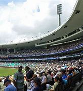 Image result for Cricket