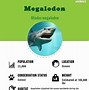 Image result for El Megalodon