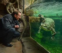 Image result for Chester Zoo Zookeeper