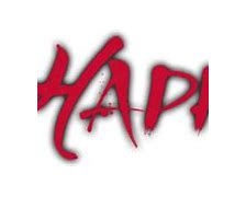 Image result for Hapkido