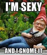 Image result for Cursed Gnome Meme