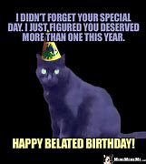 Image result for Forgot Your Birthday with Black Cat