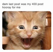 Image result for Hooray Dog Meme