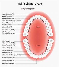 Kind And Dental