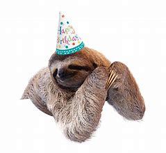 Image result for Funny Animal Happy Birthday Party