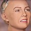Image result for Sophia the Robot Wearing Hair