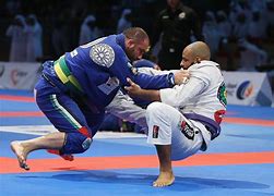 Image result for Brazilian Jiu Jitsu Pose