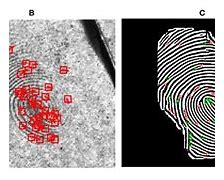 Image result for Fingerprint Recognition