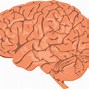 Image result for Brain ClipArt PNG