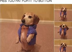 Image result for Cute Have Great Memes
