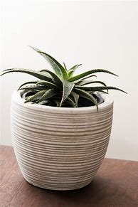 Image result for Large Indoor Pots for Plants