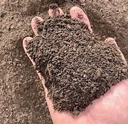 Image result for 6 Yards of Dirt