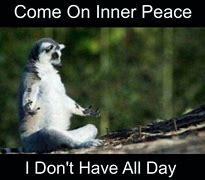 Image result for Meme to Live Peacefully