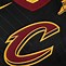 Image result for Cleveland Cavaliers Black Jersey