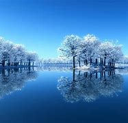 Image result for Frozen Winterfield Night