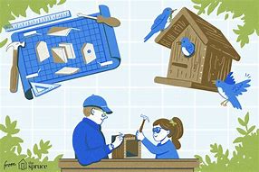 Image result for Birds Free From Case