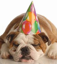 Image result for Happy Birthday with Dogs
