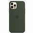 Image result for Life Case iPhone 12