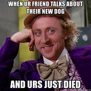 Image result for Willy Wonka Dog Meme