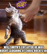 Image result for Will Smith Cat Meme
