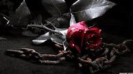 Image result for Gothic Rose Garden