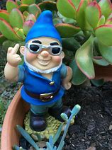 Image result for Funny Garden Gnome Statues