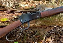 Image result for Small-Game Rifle Calibers