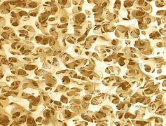 Image result for High Quality Bone Texture