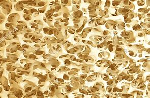 Image result for Bone Cut Texture