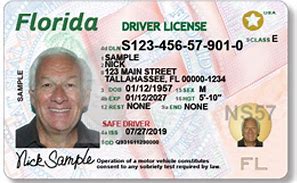 Image result for Florida Driving License