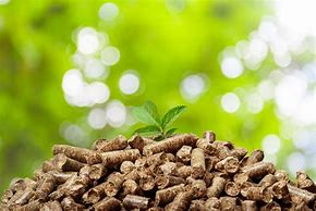 Image result for Biomass Waste