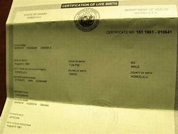 Image result for obama birth certificate
