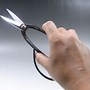 Image result for Bonsai Trimming Scissors