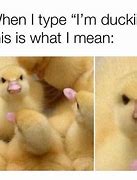 Image result for Angry Duck Face Meme