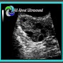 Image result for OB/GYN Sonography