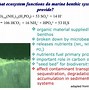 Image result for Lithium Reaction with Oxygen Observation