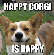 Image result for Happy Corgi Meme