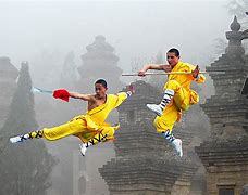 Image result for Japanese Kung Fu