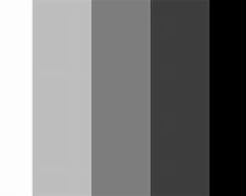 Image result for Black and White Colour