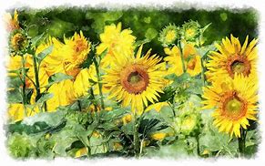 Image result for Oil Pastel Painting Sunflower