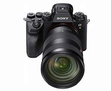 Image result for Shooting High ISO On Sony A9ii