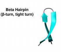 Image result for Beta Hairpin