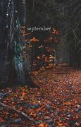 Image result for Aesthetic Hello Fall