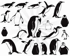 Image result for Swimming Penguin Silhouette